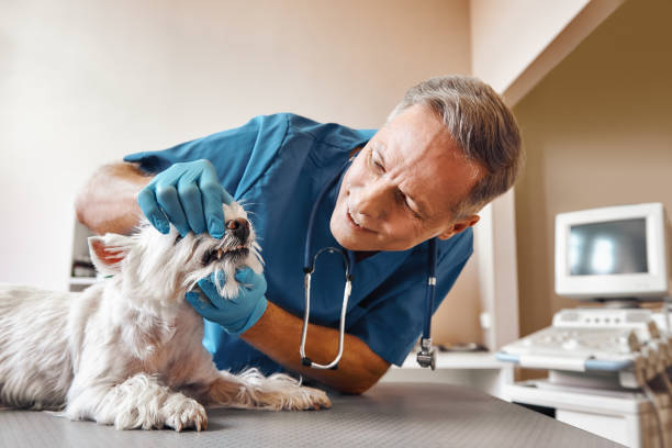 Best 24-Hour Emergency Dentist in Guymon, OK